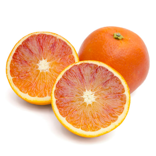 ブラッドオレンジタロッコ種