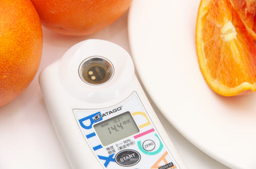 ブラッドオレンジタロッコ種