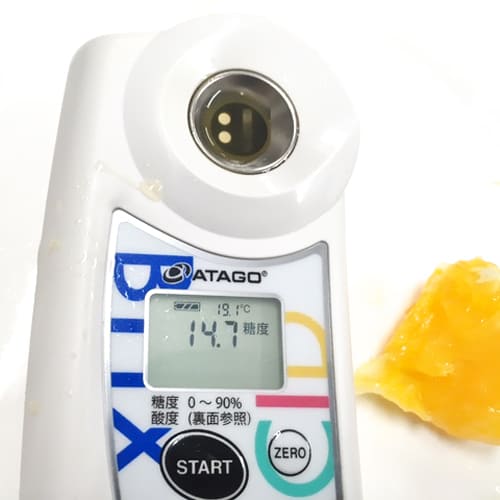 森さんの不知火