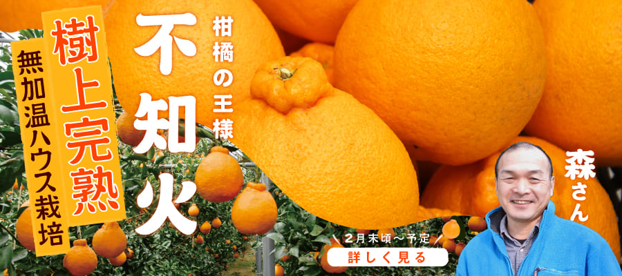 不知火デコポン特集