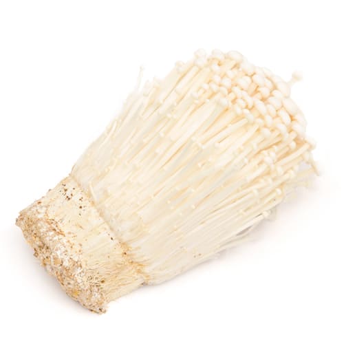 enoki