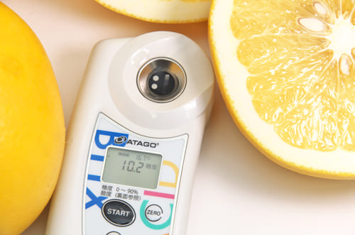 渥美さんのグレープフルーツ