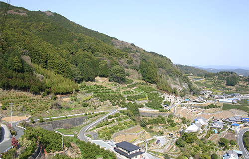 滝沢の段々畑