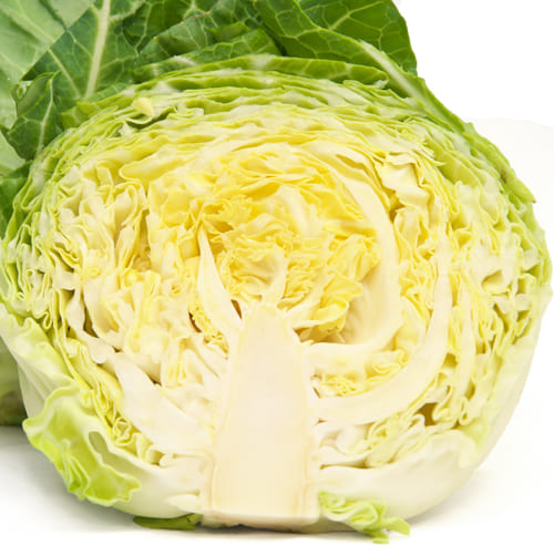 春キャベツ断面