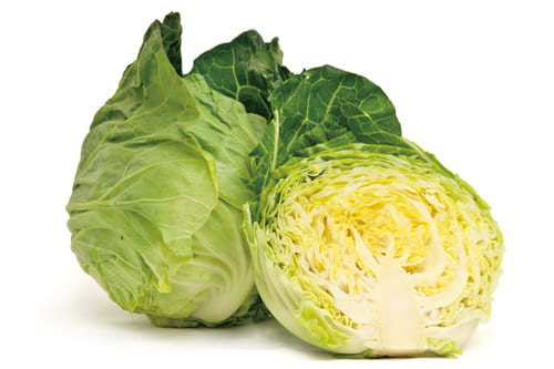 春キャベツ