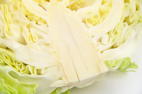 キャベツの根元