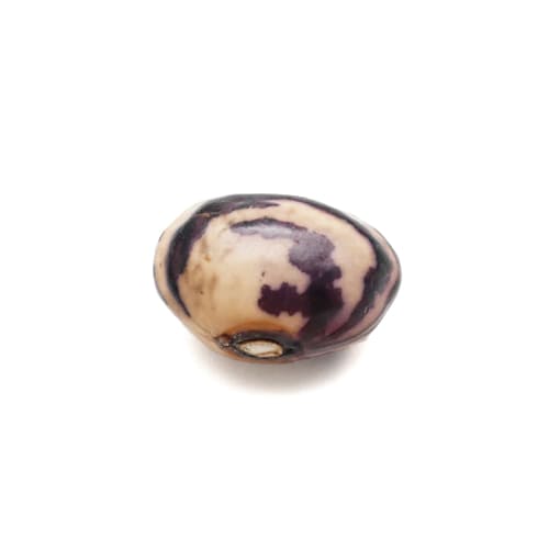貝豆