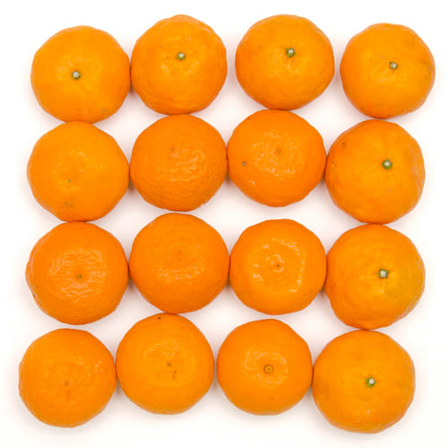 カラマンダリン2kg