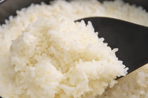 田尻さんのヒノヒカリ　炊き立て