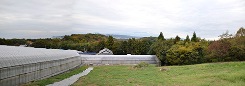 大分県杵築　山崎さんのハウスからの展望