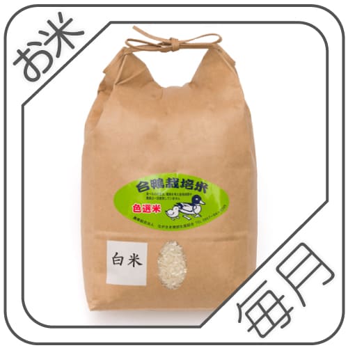 棚田で合鴨農法！長崎県産米 生産者限定 ヒノヒカリ