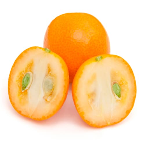 鹿児島県産 松田さんが育てた 完熟金柑