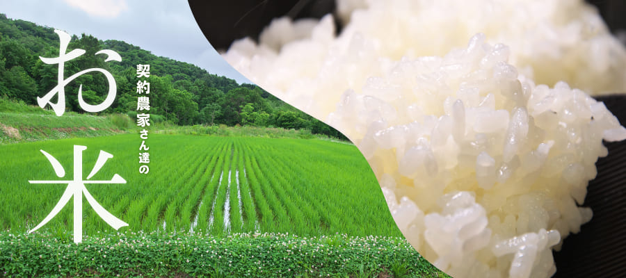 お米特集