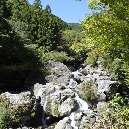 高知_中津渓谷