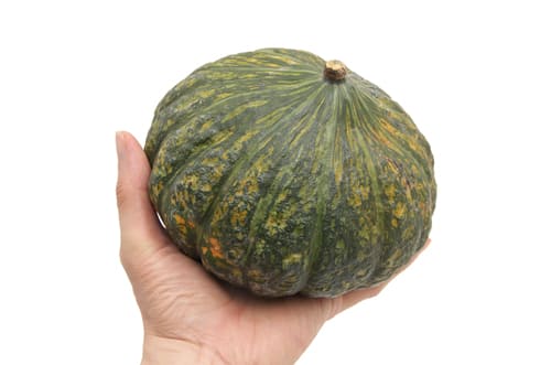 かぼちゃ ぽくろん サイズ
