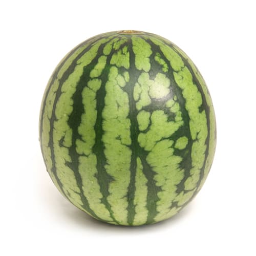 小玉すいかあきた夏丸チッチェ