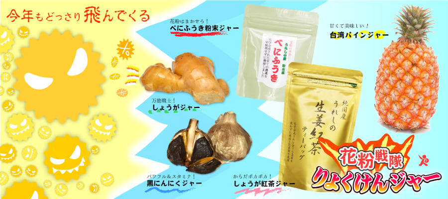 花粉対策バナー2026