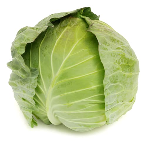 あまだまキャベツ