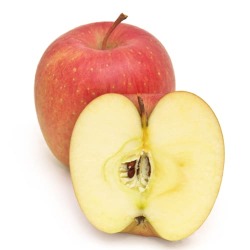 葉取らずフジ2024