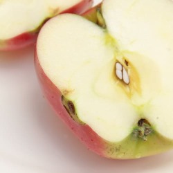 シナノピッコロひょう害の傷