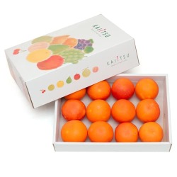 ブラッドオレンジギフト