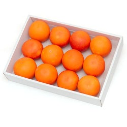 ブラッドオレンジギフト