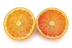 ブラッドオレンジの色