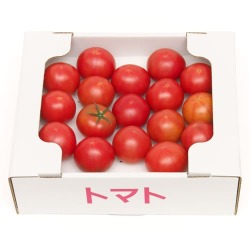 百日トマト完熟マルトマトギフト贈答箱Medium