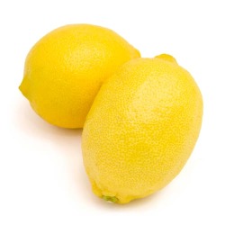 熊本レモン
