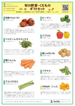 野菜セットの同梱物の見本