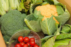 豊橋野菜セット