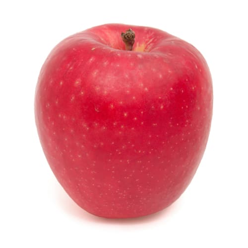 ひめかみりんごページ 楽天市場】【予約販売】 ひめかみ 3kg 特選 北海道 余市産 9〜12