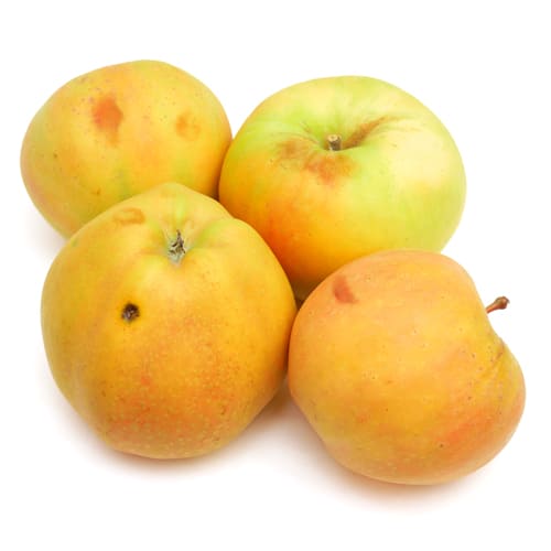 ムーンルージュりんご