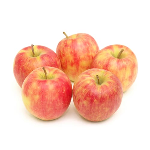 シナノドルチェりんご成田さん1kg