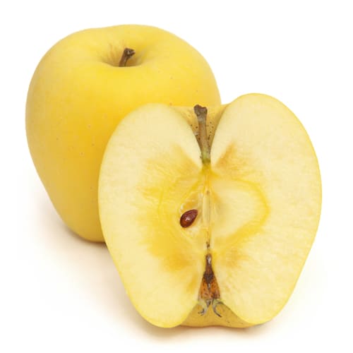 りんご　はるか　有袋　奈良岡さん