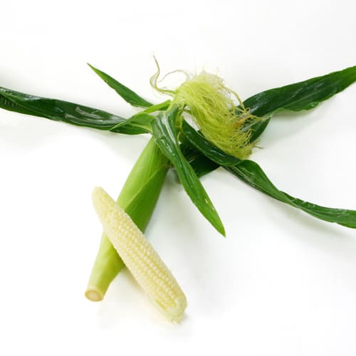 ベビーコーン