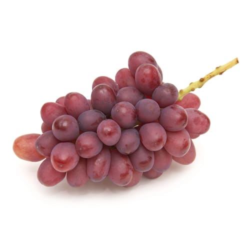 ぶどうクイーンルージュ　ハウス