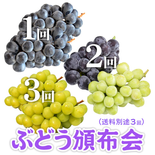 ぶどう頒布会