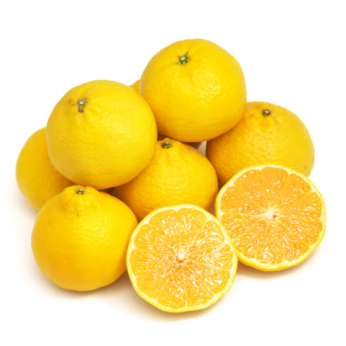 媛小春１kg　石丸さん