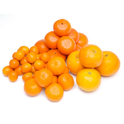 きらきら柑橘セット