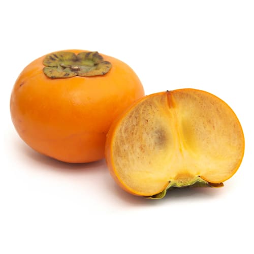 柿 麗玉 小倉さん2025