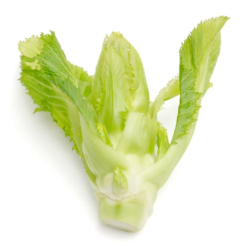 子持ち高菜