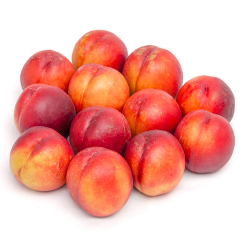 ネクタリンフレーバートップ