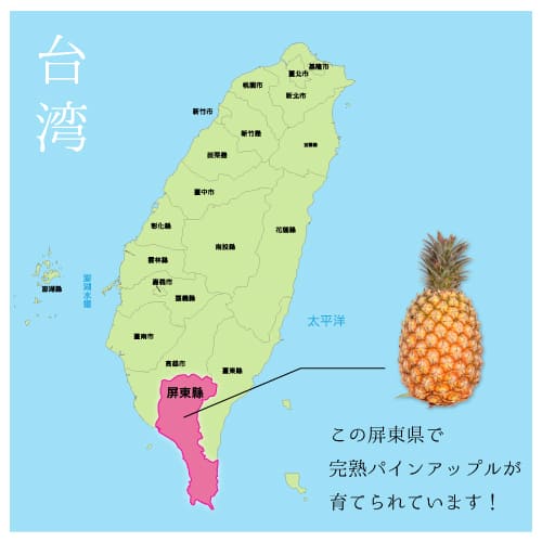 台湾パインMAP