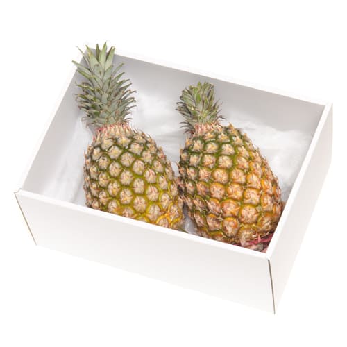 台湾パイン2.5kg贈答箱