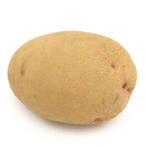 玉手さんのはるか