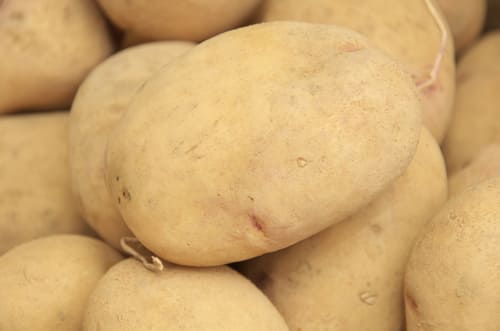 玉手さんのはるか