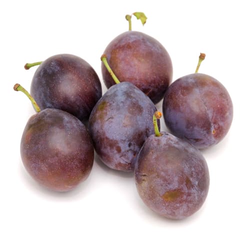 プルーンローブドサージェン