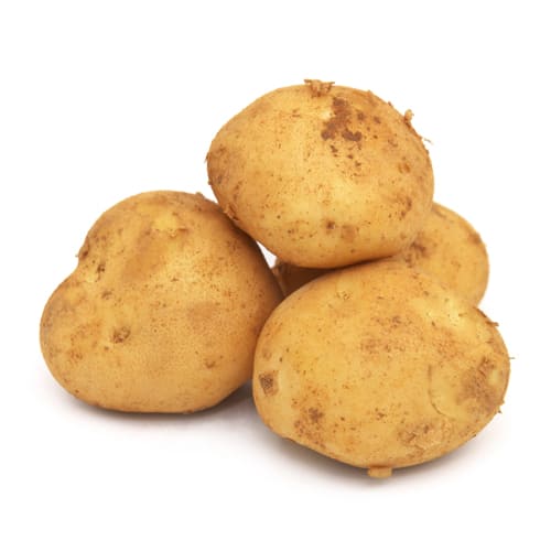 芋高さんの　にしゆたか　沖永良部島