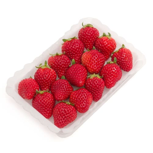 いちご星の煌めき